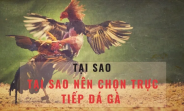 Các Trò Chơi Hot Nhất Tại Vin777 Club